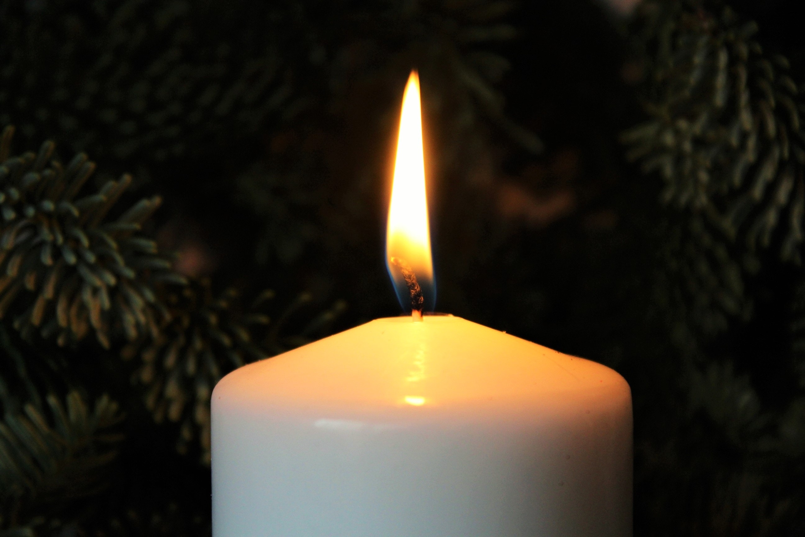 burn-candle-candlelight-278790